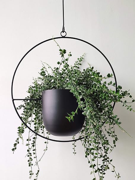 RISEON Boho Black Metal Plant Hanger – Modern Wall & Ceiling Hanging Planter, Mid-Century Indoor Outdoor Flower Pot Holder for Home Decor